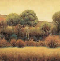 Obrázek 18x18, les I., rám sv. dub - červotoč