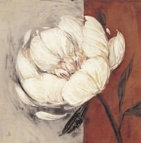 Obrázek 18x18, krémová květina I., rám bílý s patinou