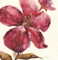 Obrázek 18x18, červený květ I., rám sv. dub - červotoč