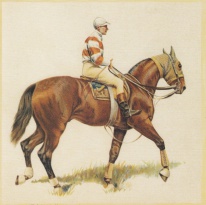 Obrázek 20x20, kůň I., rám sv. dub - červotoč