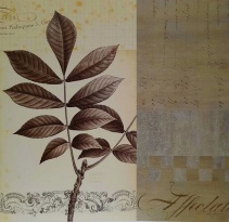 Obrázek 18x18, koláž - list ořechu, rám sv. dub - červotoč