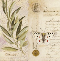 Obrázek 14x14, oliva/dopis, rám sv. dub - červotoč