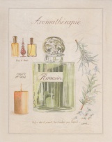 Obrázek 20x25, aromaterapie rozmarýn, rám sv. dub - červotoč