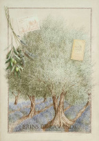 Obrázek 30x40, levandule mezi stromy, rám bílý s patinou