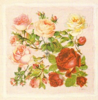 Obrázek 20x20, houština růží IV., rám bílý s patinou