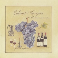 Obrázek 20x20, cabernet sauvignon, rám sv. dub - červotoč