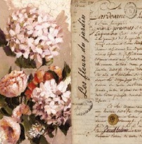 Obrázek 30x30, květiny //text III., rám sv. dub - červotoč