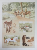 Obrázek 30x40, koně II., rám sv. dub - červotoč