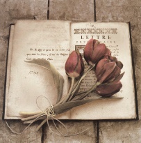 Obrázek 18x18, kniha & červená kytice, rám bílý s patinou