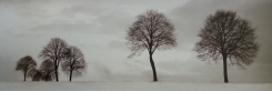 Obrázek 33x95, stromy v zimě I., rám sv. dub - červotoč
