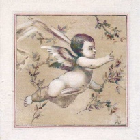 Obrázek 30x30, anděl III., rám sv. dub - červotoč