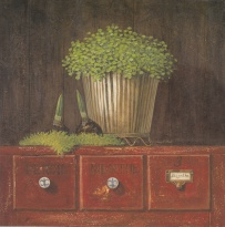 Obrázek 18x18, červená komoda & bylinky, rám sv. dub - červotoč