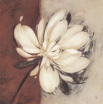 Obrázek 18x18, krémová květina II., rám bílý s patinou