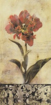 Obrázek 13x25, botanika - tulipán II., rám sv. dub - červotoč