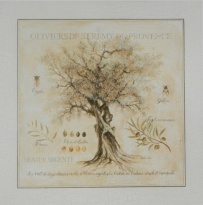 Obrázek 33x33, olivovník, rám bílý s patinou
