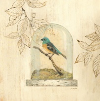 Obrázek 30x30, ptáček, rám  sv. dub - červotoč