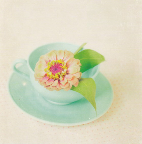Obrázek 18x18, šálek s květinou, rám sv. dub - červotoč