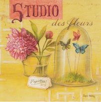 Obrázek 18x18, pivoňka - studio des fleurs, rám bílý s patinou