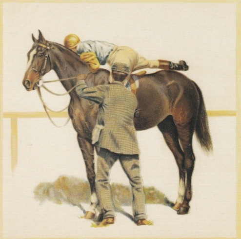 Obrázek 20x20, kůň II., rám sv. dub - červotoč