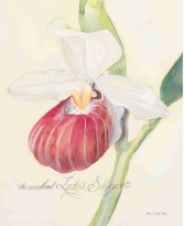 Obrázek 24x30, orchidej - malina, rám sv. dub - červotoč