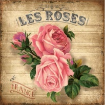 Obrázek 30x30, rose france, rám bílý s patinou