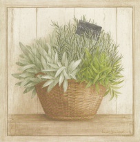 Obrázek 14x14, bylinky aromatické, rám sv. dub - červotoč