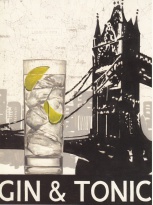 Obrázek 24x30, gin & tonic, rám sv. dub - červotoč