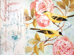 Obrázek 30x40, ptáčci & růže, rám bílý s patinou
