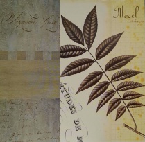 Obrázek 18x18, koláž  - list ořechovce, rám sv. dub - červotoč