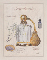 Obrázek 30x40, aromaterapie levandule, rám sv. dub - červotoč