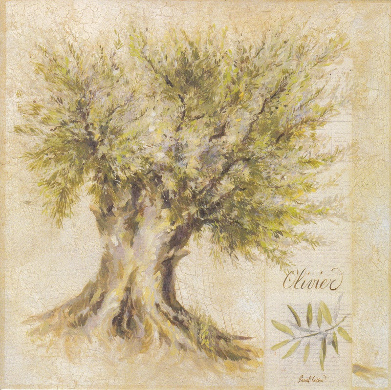 Obrázek 30x30, olivovník v písmu, rám bílý s patinou